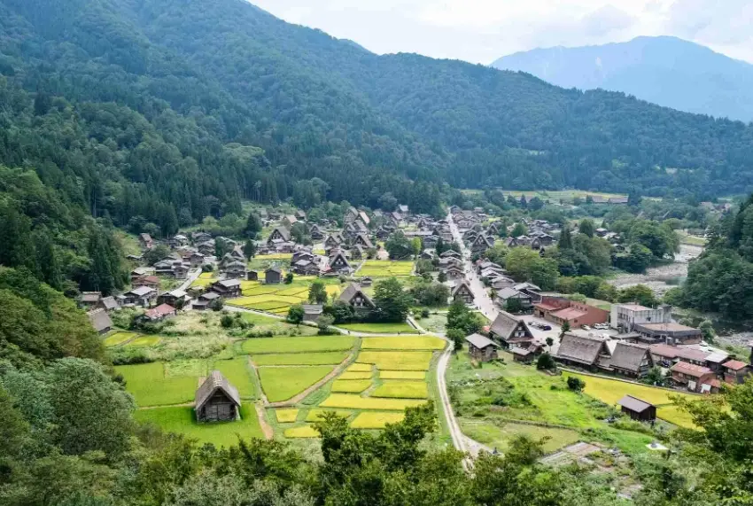 白川鄉合掌村 巴士