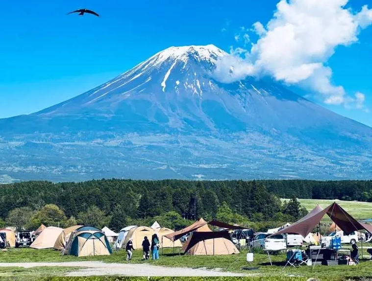 富士山露營場