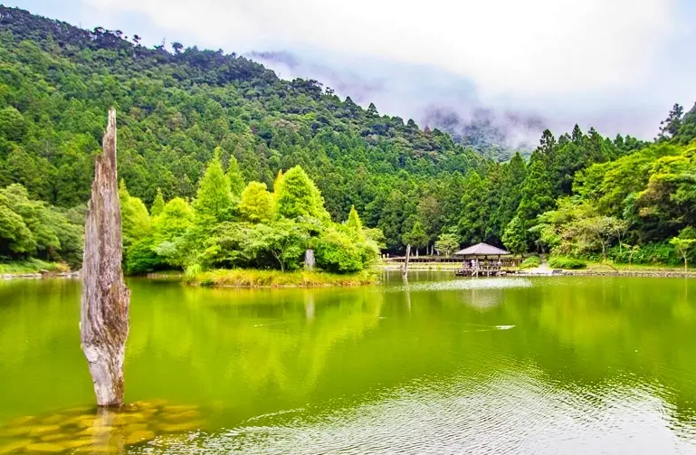 太平山一日遊