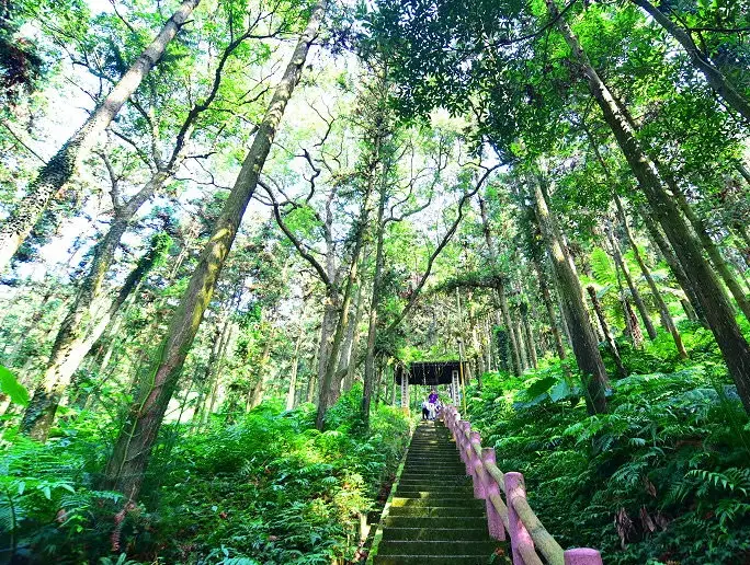 鳴鳳古道難度