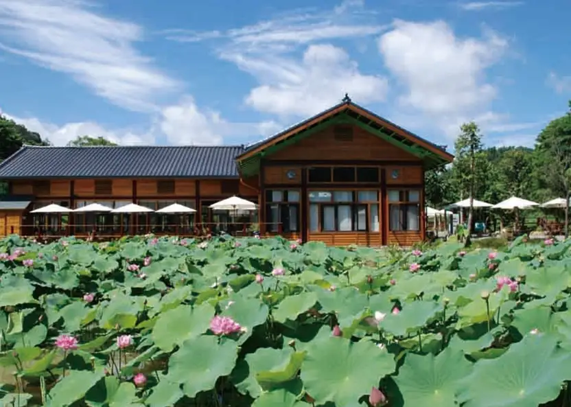親子旅遊景點 親子旅遊景點
