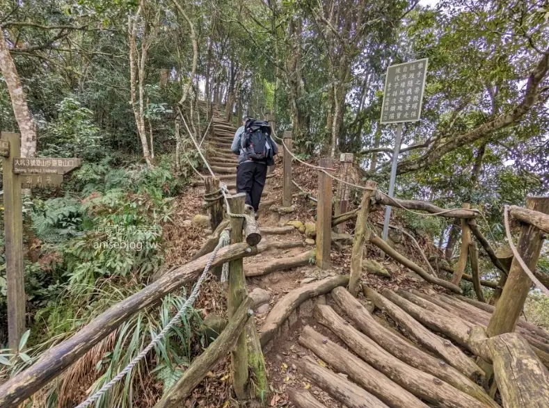 台中狗狗爬山