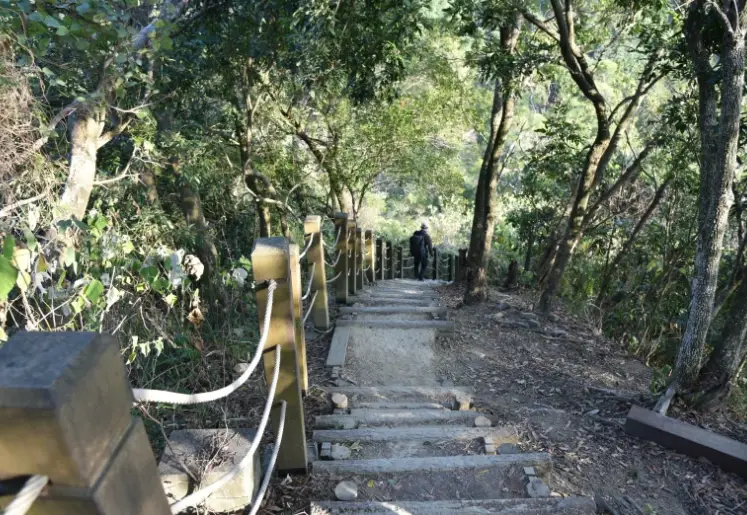 大坑步道 帶狗
