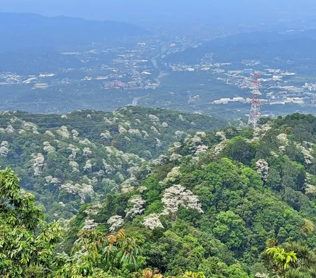 三峽登山步道
