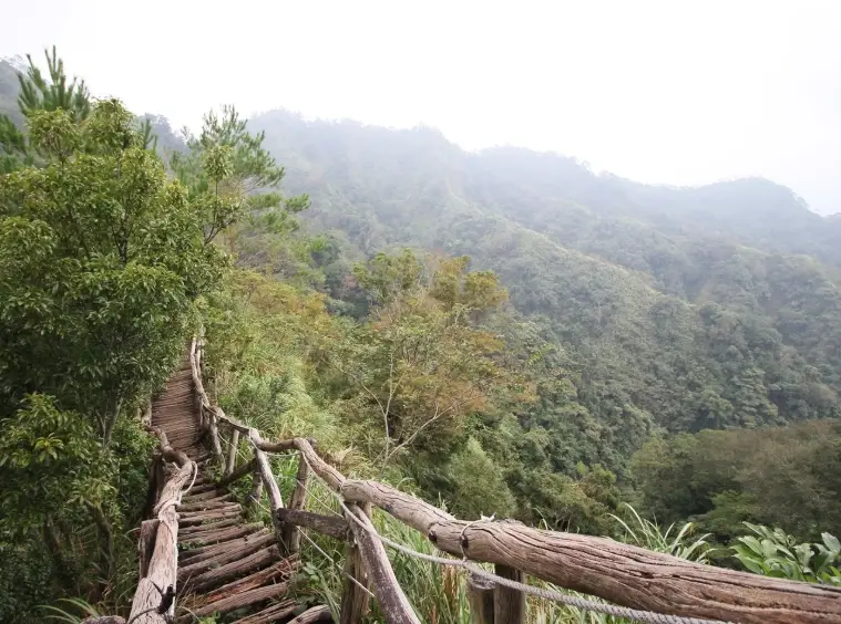 大坑步道 帶狗
