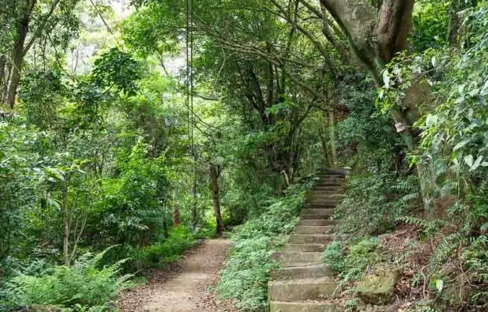 三峽老街步道