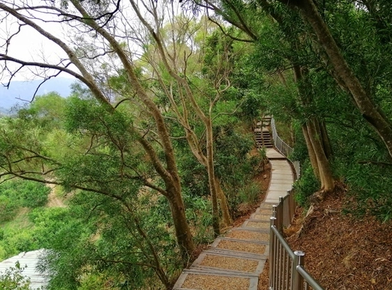 台中狗狗爬山
