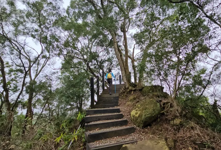 寵物友善步道 台中