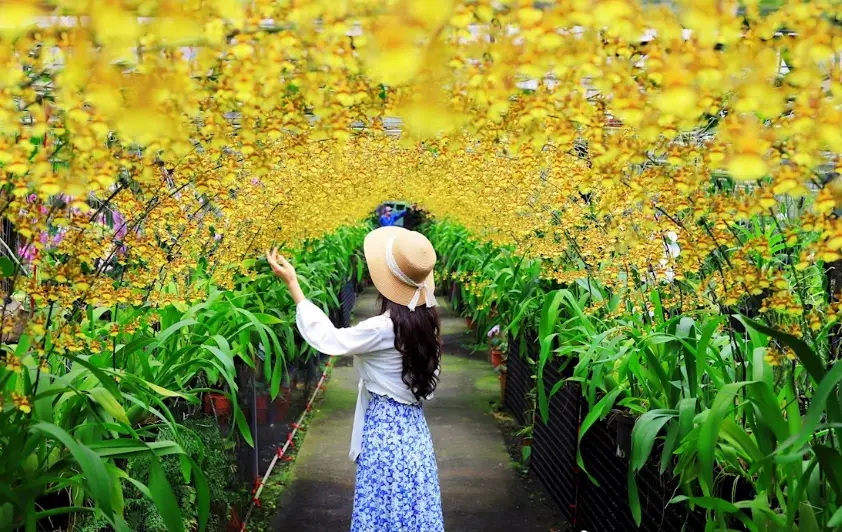 花蓮旅遊行程