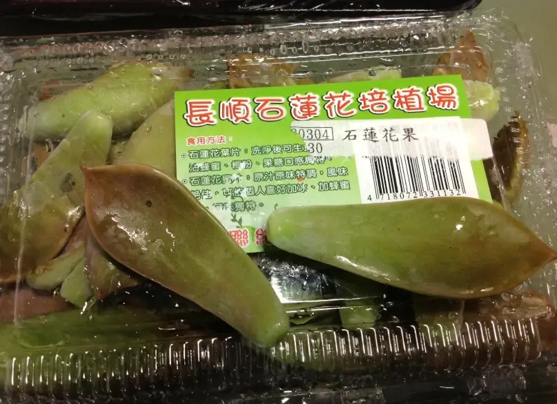 石蓮花怎麼吃