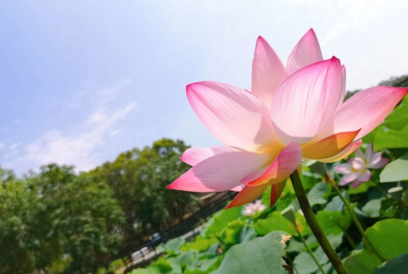 宜蘭花蓮自由行
