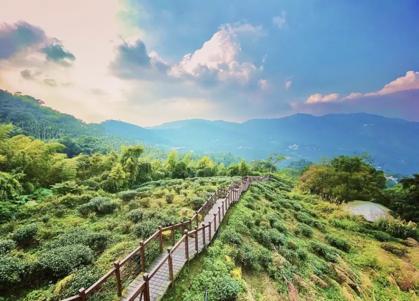 阿里山旅遊