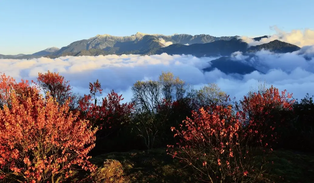 阿里山景點推薦