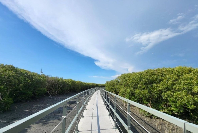 芳苑海牛採蚵體驗 芳苑海牛採蚵體驗