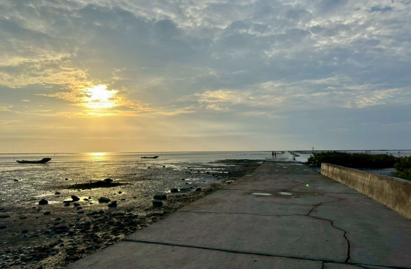 芳苑海牛採蚵體驗 芳苑海牛採蚵體驗
