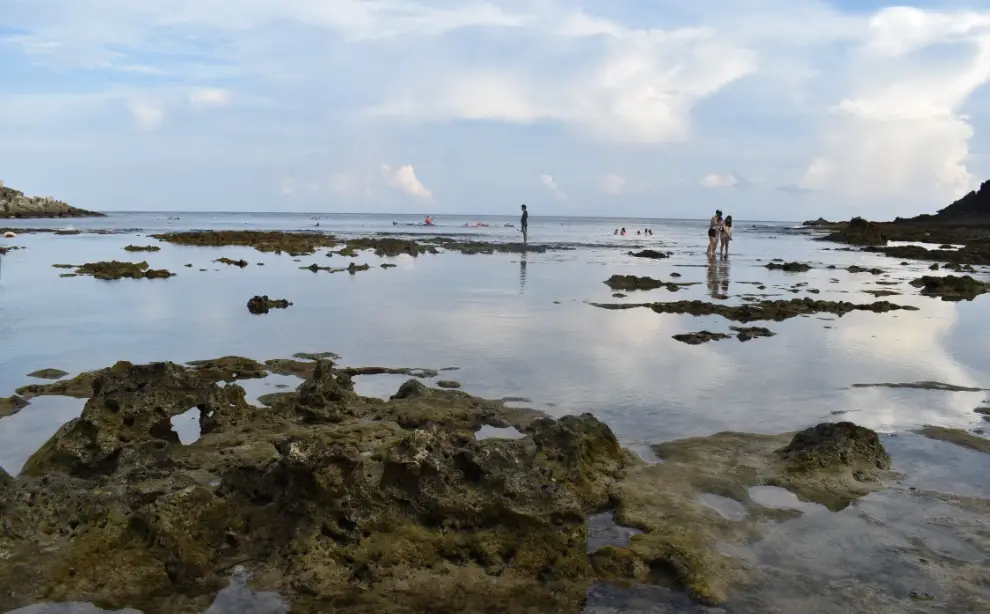 國立海洋生物博物館 國立海洋生物博物館