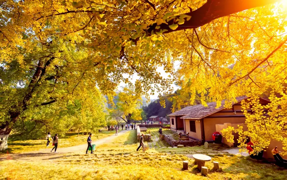 高雄大樹住宿