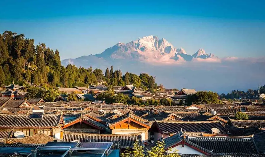 大樹區景點