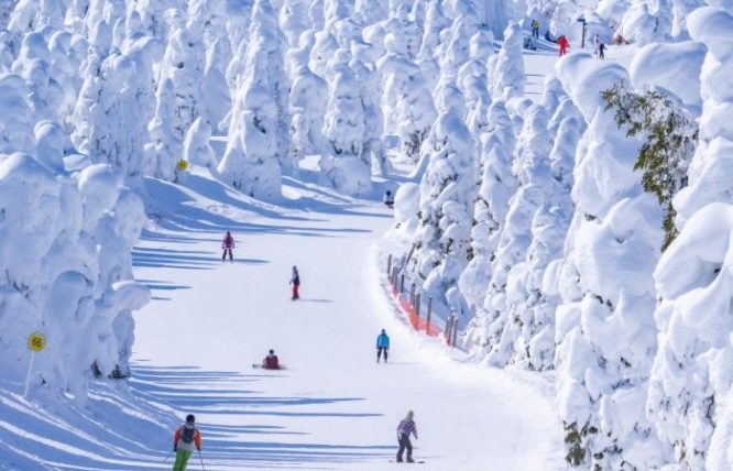 藏王溫泉滑雪場