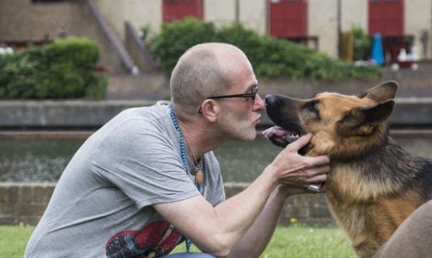 狗行為問題 狗行為問題