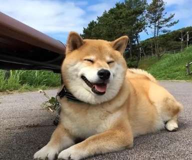 心臟病症狀 心臟病症狀