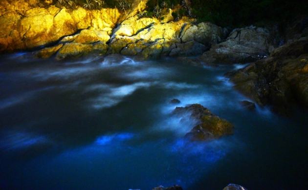 鐵堡旅遊攻略 鐵堡旅遊攻略