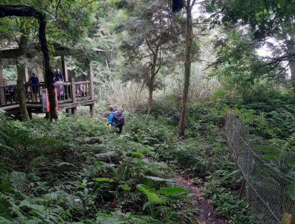 蟾蜍山步道路線 蟾蜍山步道路線