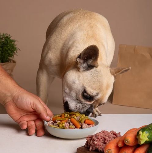 自製狗食牛肉