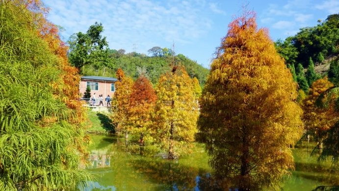 苗栗隱藏景點 苗栗隱藏景點