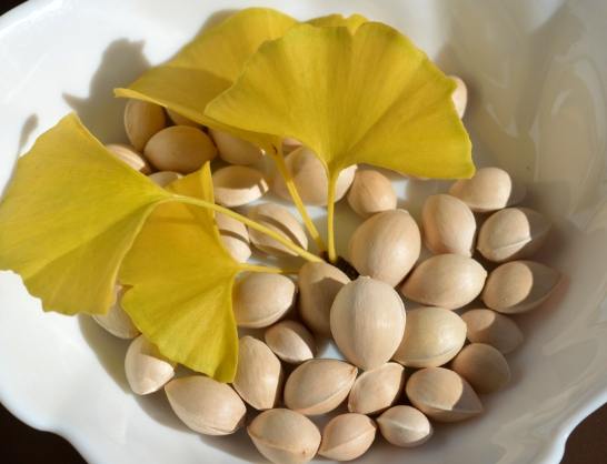 白果副作用 白果副作用