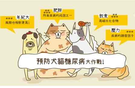 貓糖尿病風險因素