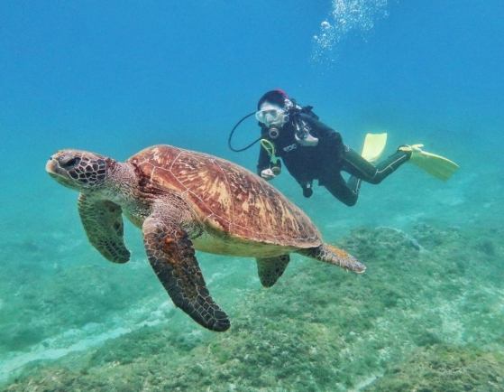 小琉球旅遊套裝