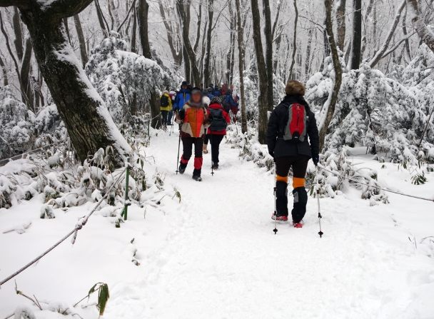 濟州島漢拿山登山 濟州島漢拿山登山