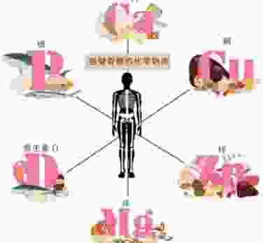自製鮮食鈣磷計算 自製鮮食鈣磷計算