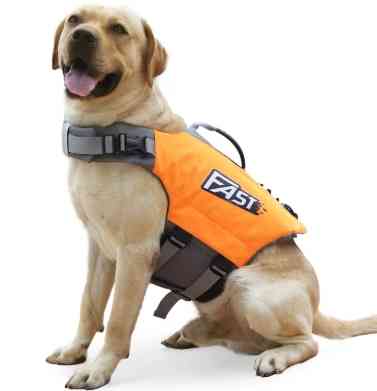 台北寵物救生衣哪裡買 台北寵物救生衣哪裡買