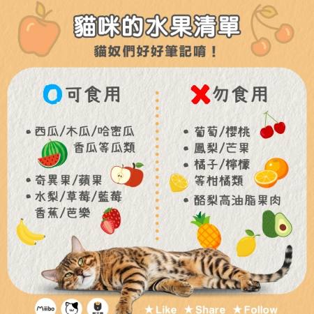 貓可以吃芒果嗎