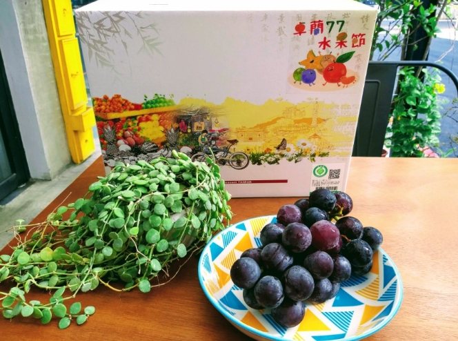 苗栗卓蘭水果全攻略：品種、產季與選購秘訣