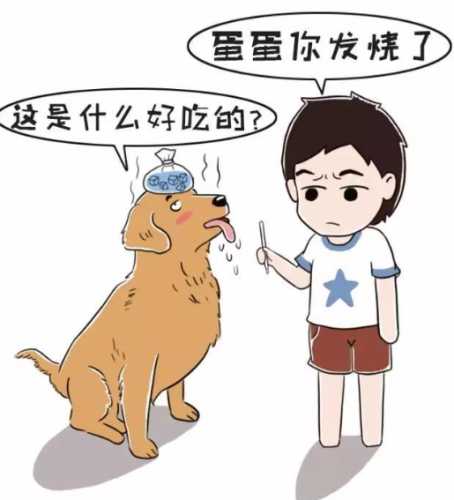 狗狗嘔吐物咖啡色 狗狗嘔吐物咖啡色