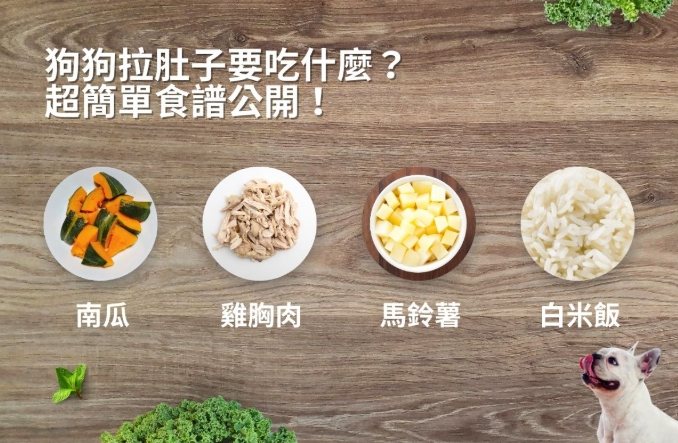 狗狗拉肚子飲食