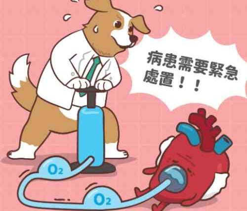 狗肺積水利尿劑