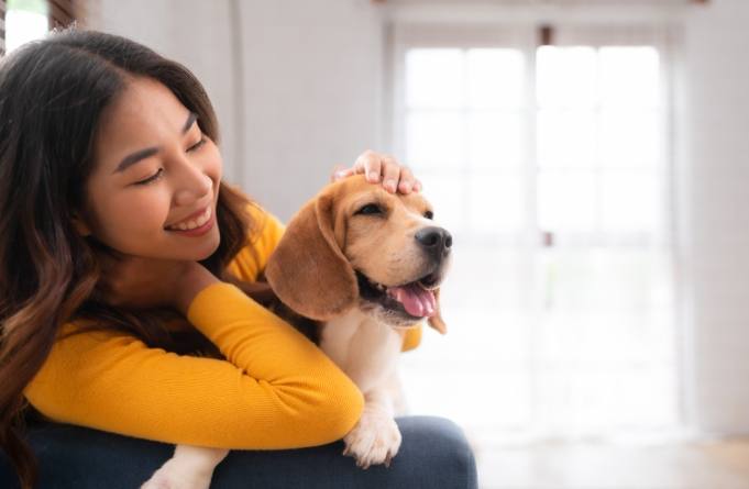 養狗前評估 養狗前評估