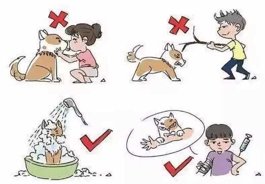 狂犬病疫苗接種