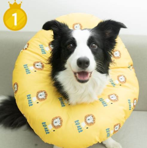 狗狗頭套品牌比較