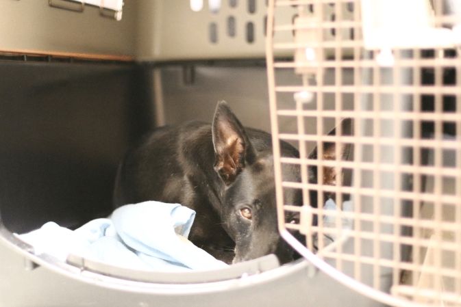 新環境適應時間 新環境適應時間