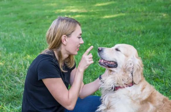 吠叫控制方法 吠叫控制方法