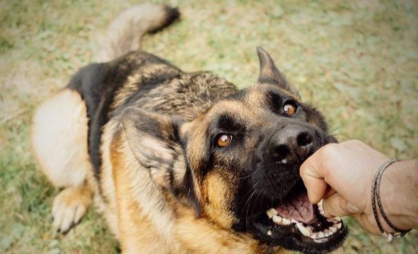 和解金談判 和解金談判