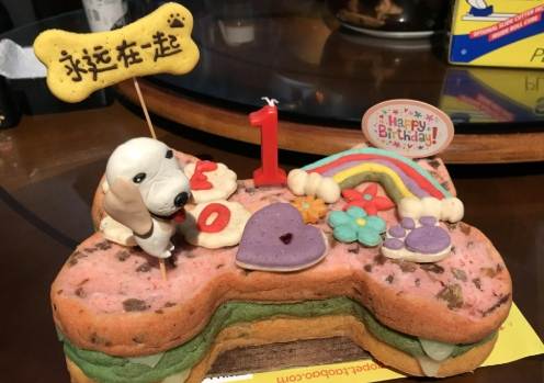 狗誤食巧克力急救 狗誤食巧克力急救