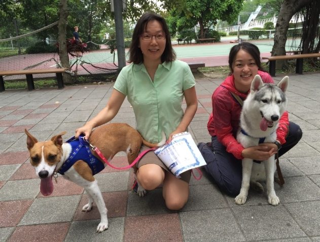 幼犬訓練班 幼犬訓練班