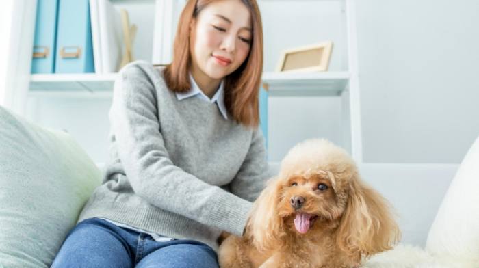 養狗前評估 養狗前評估