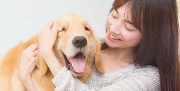 養狗前評估 養狗前評估